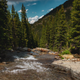 Illustration for article titled Imogene Black Bear Pass Photo Dump